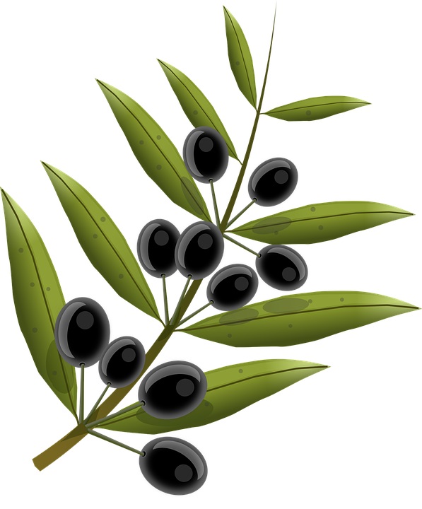 What is Organic Denture Adhesive? OlivaFix Gold